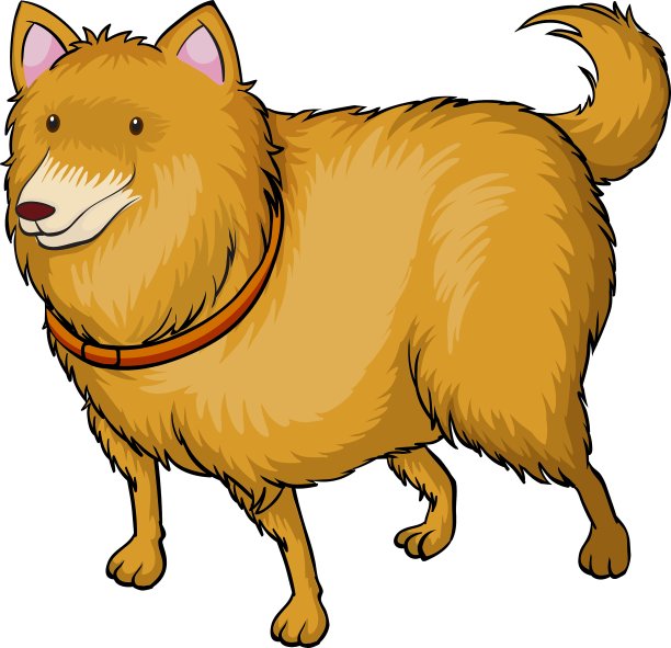 一只会笑的狗狗,图片下载