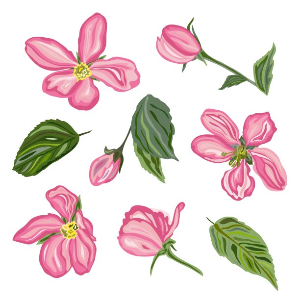 手绘樱花集图片下载