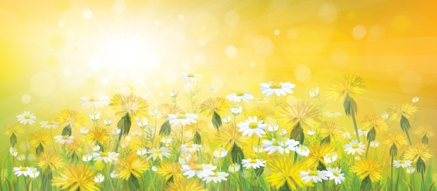 春天的背景图片下载