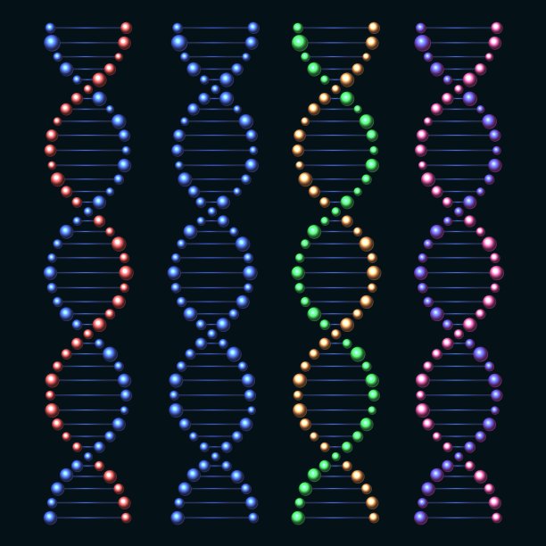 光滑的DNA基因组分子组图片下载