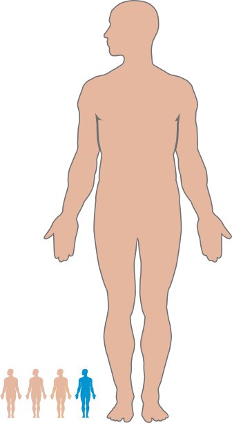 男人的身体图片下载