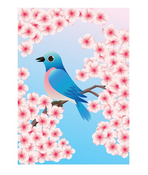 蓝知更鸟图片下载