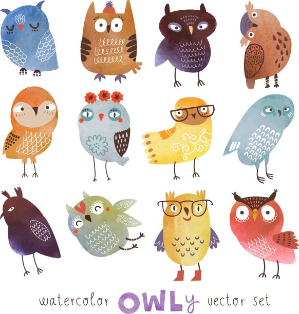 猫头鹰集图片下载