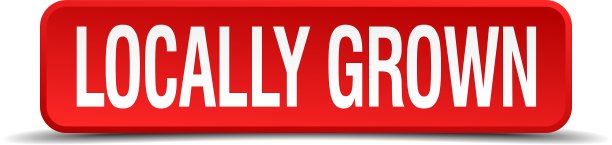 本地生长的红色3d方块按钮隔离上图片下载