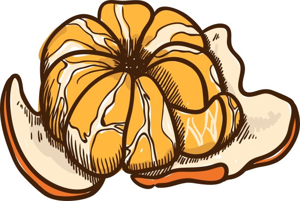 热带橘子草图图片下载