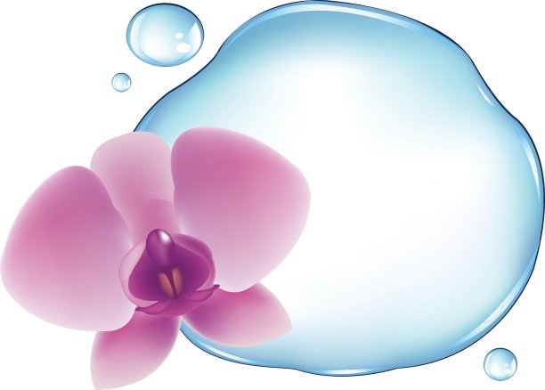 兰花在水图片下载