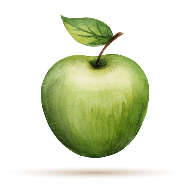 水彩苹果孤立的白色背景图片下载