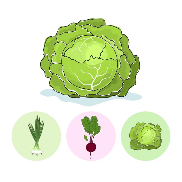 绿色图标onionbeetcabbage图片下载
