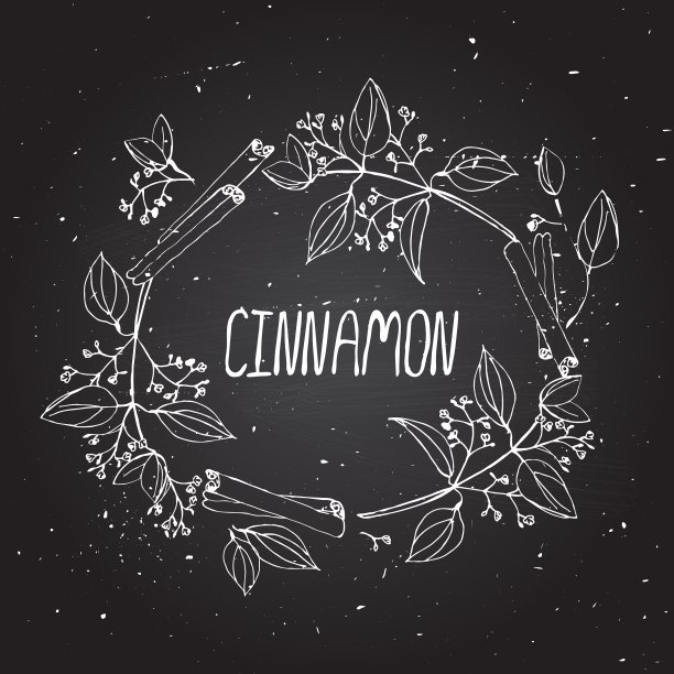 香草和香料收集-肉桂图片下载