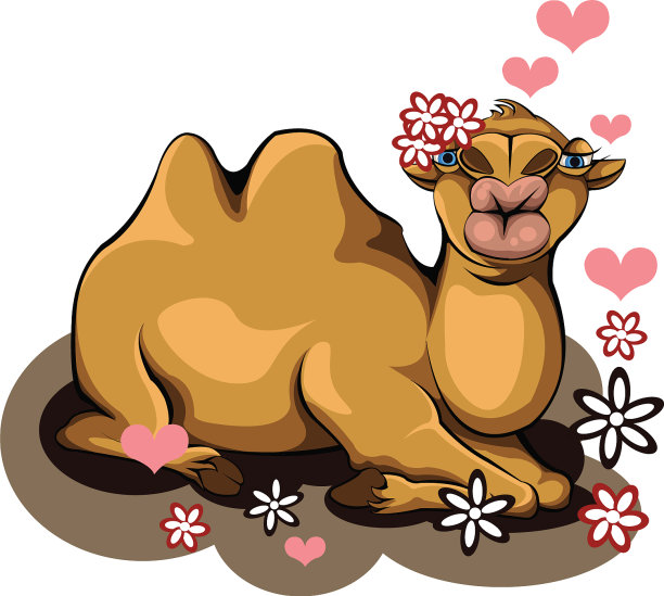 吻一个骆驼图片下载