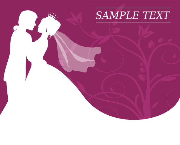 新娘和新郎在勃艮第背景与swir图片下载