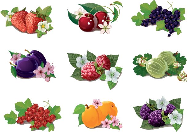 成熟果实套装图片下载
