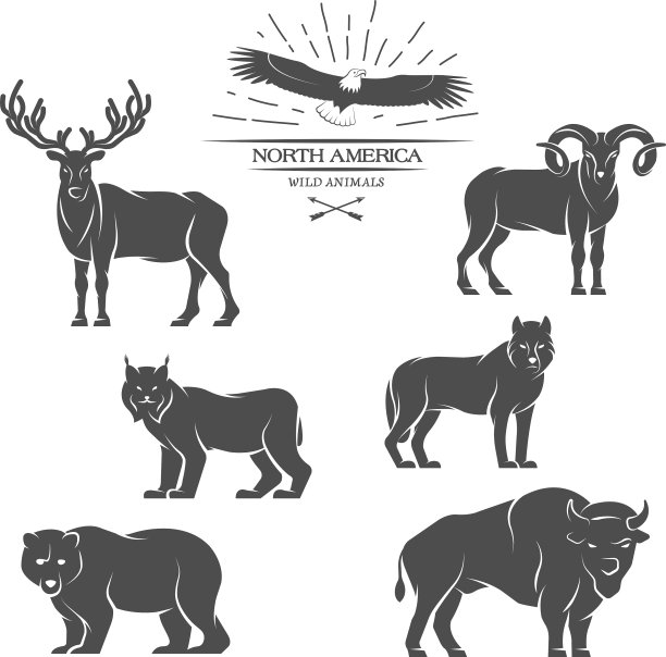 北美洲的大型动物图片下载