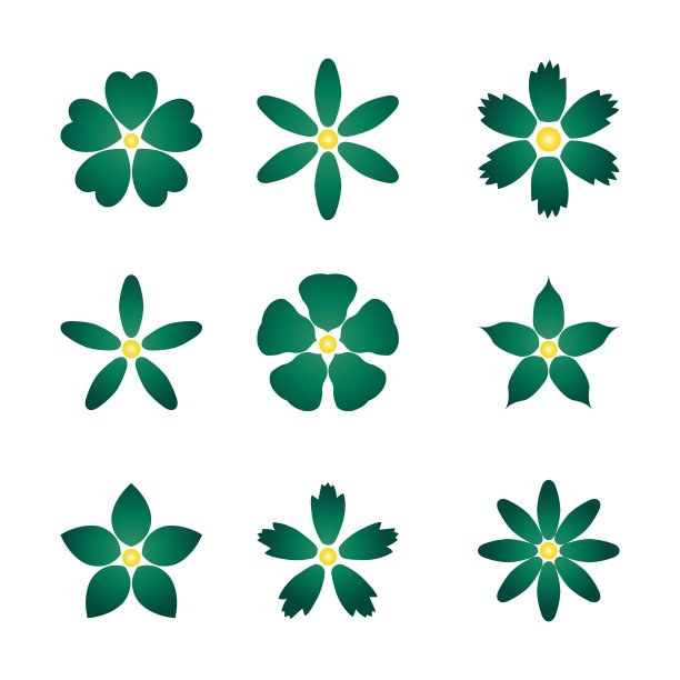 花芽集图片下载