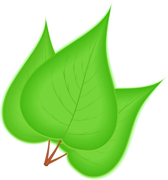 绿色的树叶图片下载