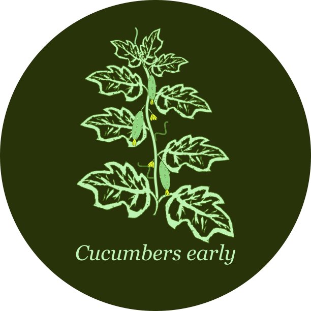 黄瓜种子和幼苗标签图片下载