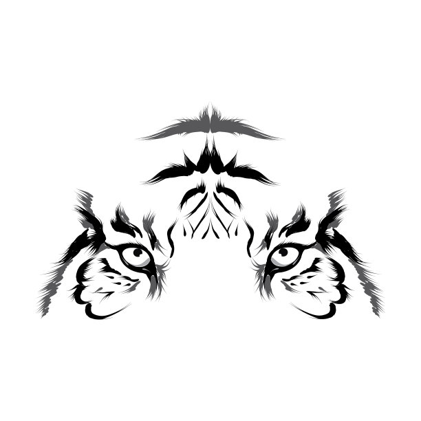 老虎头大纲图片下载