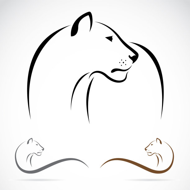 这是一只雌狮子的图像图片下载