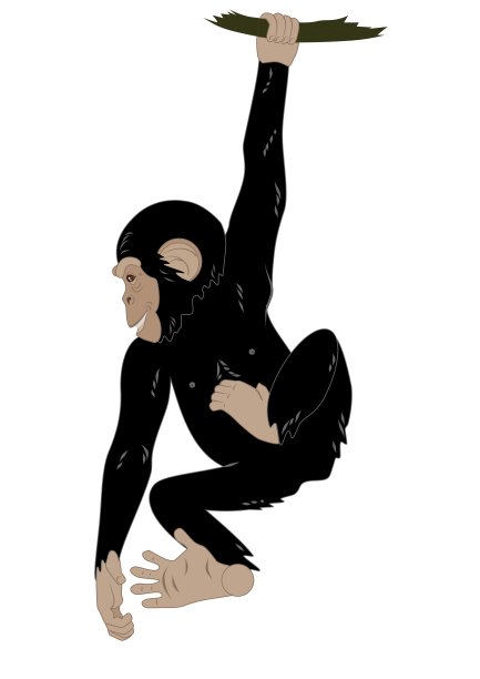 可爱的猴子图片下载