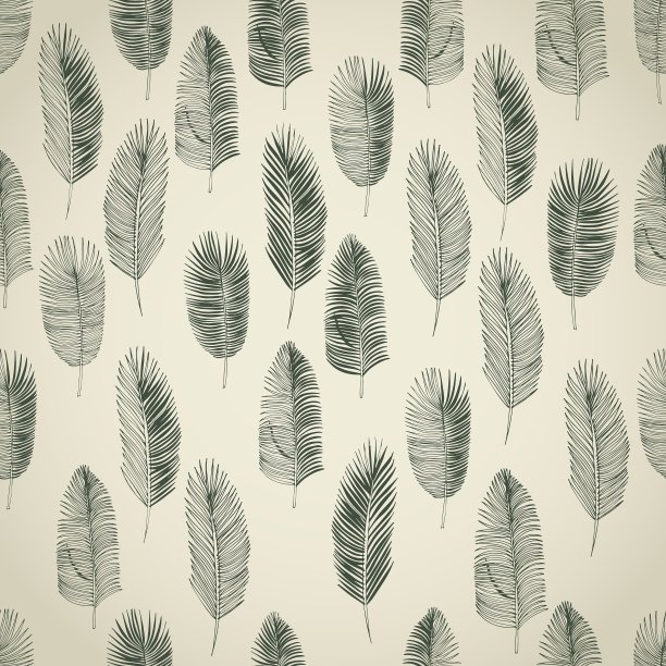 一套手绘棕榈叶图片下载