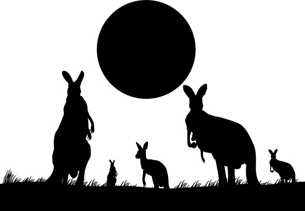 袋鼠家族的剪影图片下载