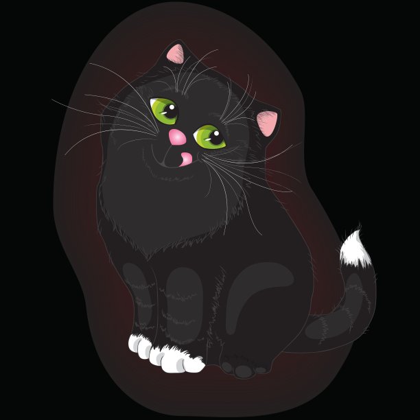 黑色的猫图片下载