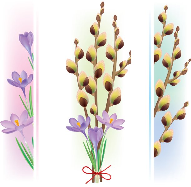 复活节的象征是番红花和猫咪柳树图片下载