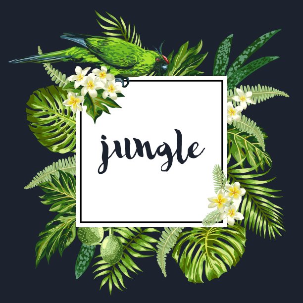 夏日卡片上有鹦鹉花和树叶图片下载