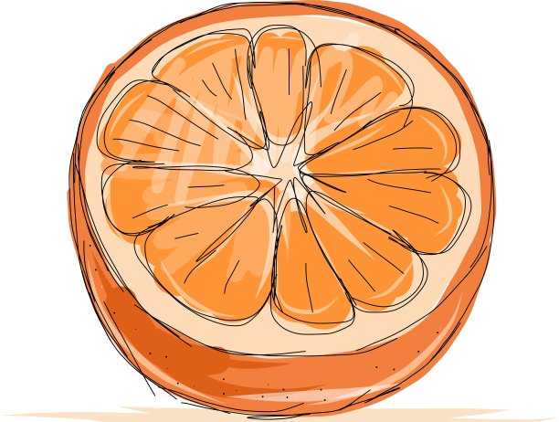 橙色的草图，为您的设计图片下载