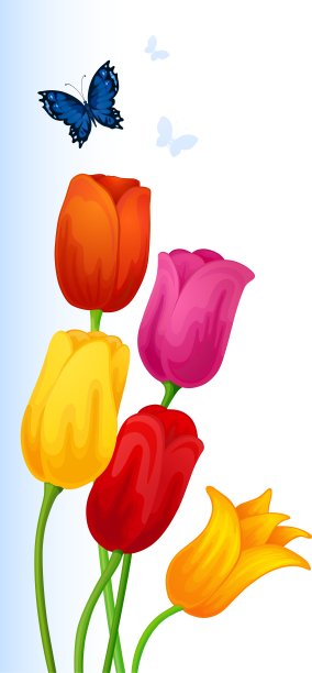 贺卡上有五颜六色的蝴蝶和图片下载