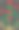 红玫瑰纹章风格的背景图片下载