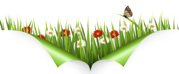 春天的背景有花，草和瓢虫图片下载