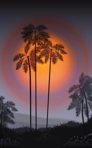 夏夜的棕榈树在夜晚图片下载