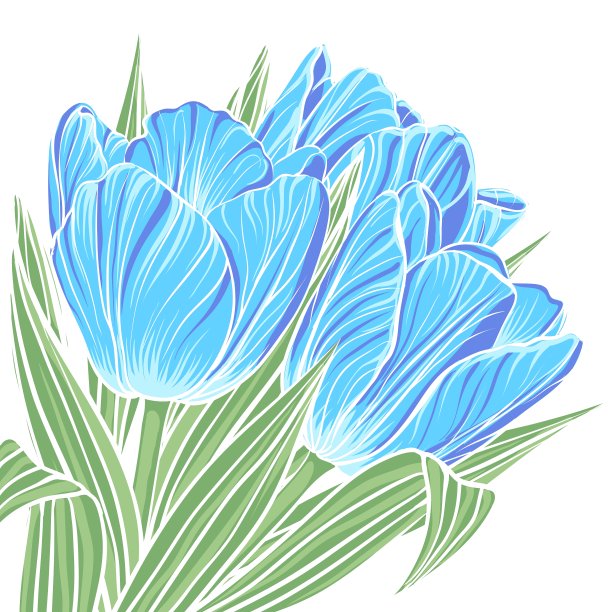 花的背景与郁金香花图片下载