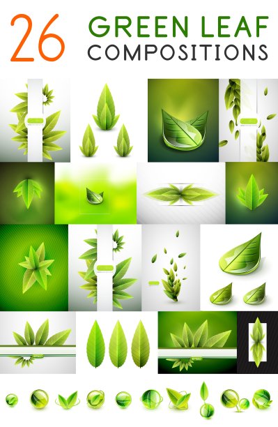 大型绿色夏季概念集合图片下载