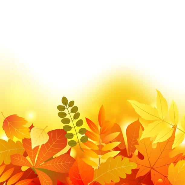 秋天背景图片下载