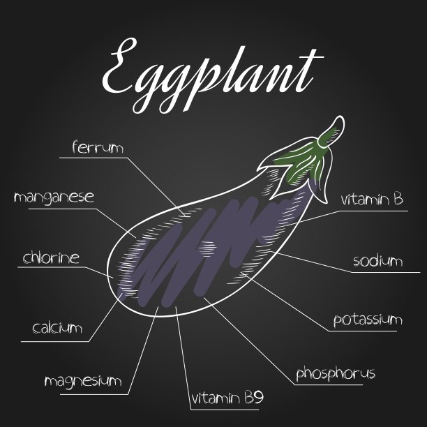 茄子营养清单图片下载