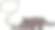 卡通狗嗅地板和语音泡沫图片下载