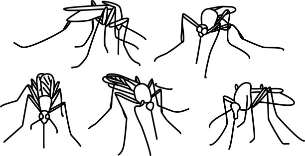 蚊子咬图片下载