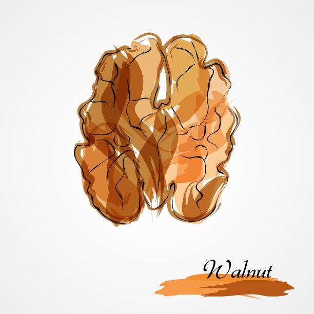 核桃的一半图片下载