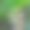 春季复古印刷徽章彩色图片下载