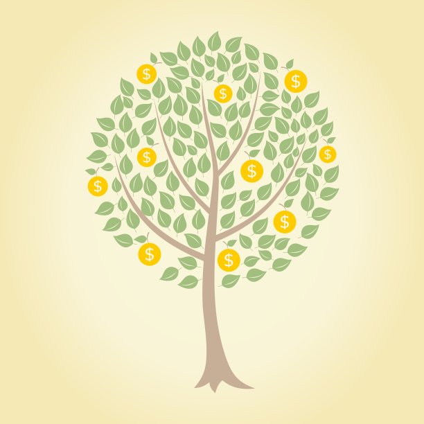 金钱树图片下载