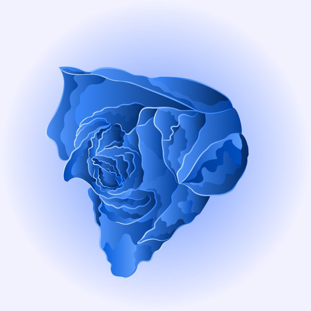 蓝色的花朵美丽的玫瑰简单的爱情象征图片下载