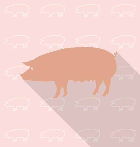 猪图片下载