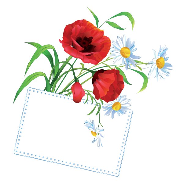 一束问候鲜花图片下载