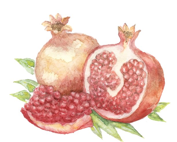 蔬菜维他命绘画水彩画图片下载