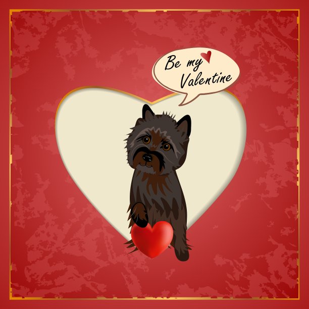 凯恩的情人图片下载