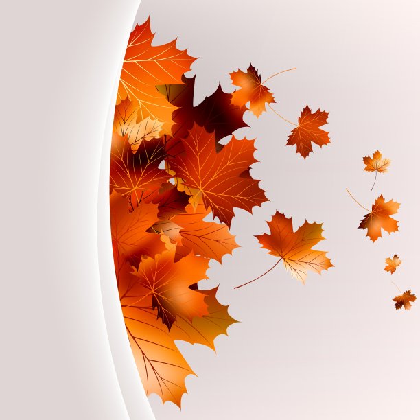 飞扬的秋叶背景EPS 10图片下载