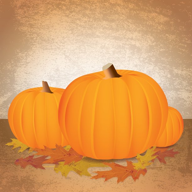秋天的南瓜和叶子图片下载