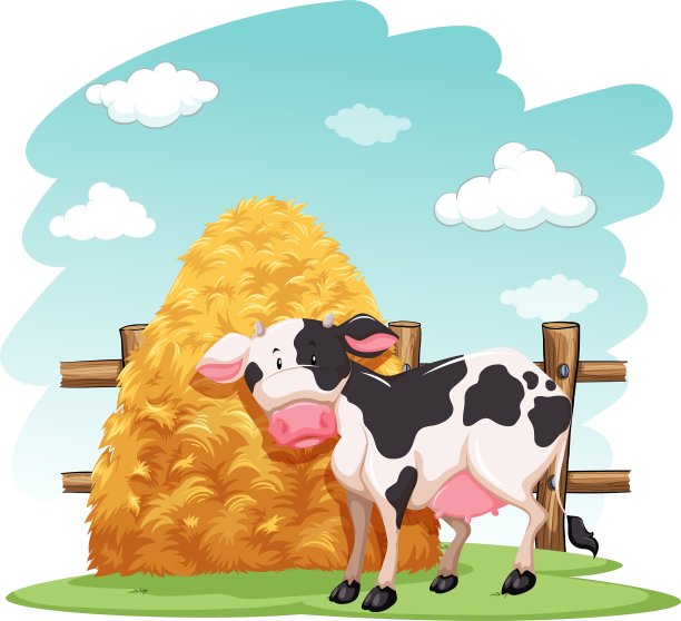 奶牛和一堆干草堆图片下载